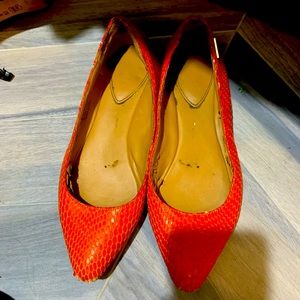 Orange Crocodile Pointy Foot